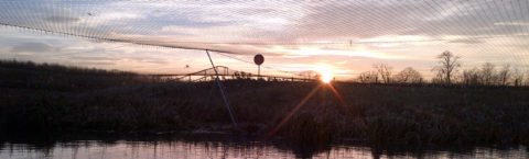 Lagoon Netting 