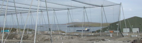 Portable Netting Structures